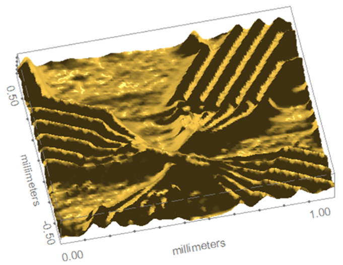 The 3D map from the gold nano-patterned sample was rendered using Phong rendering