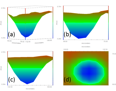 (a) Isometric, (b) IsoY, (c) IsoX, and (d) IsoZ views of a cropped view of the gold micron dot array.