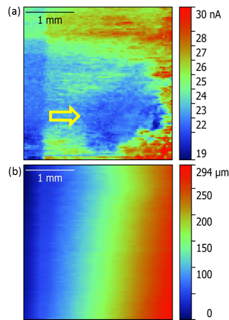 (a) The dc current response measured for the convex aluminium rod sample using ic-SECM. The yellow arrow indicates the low current area corresponding to the blemish on the surface. (b) The corresponding topographic response. 