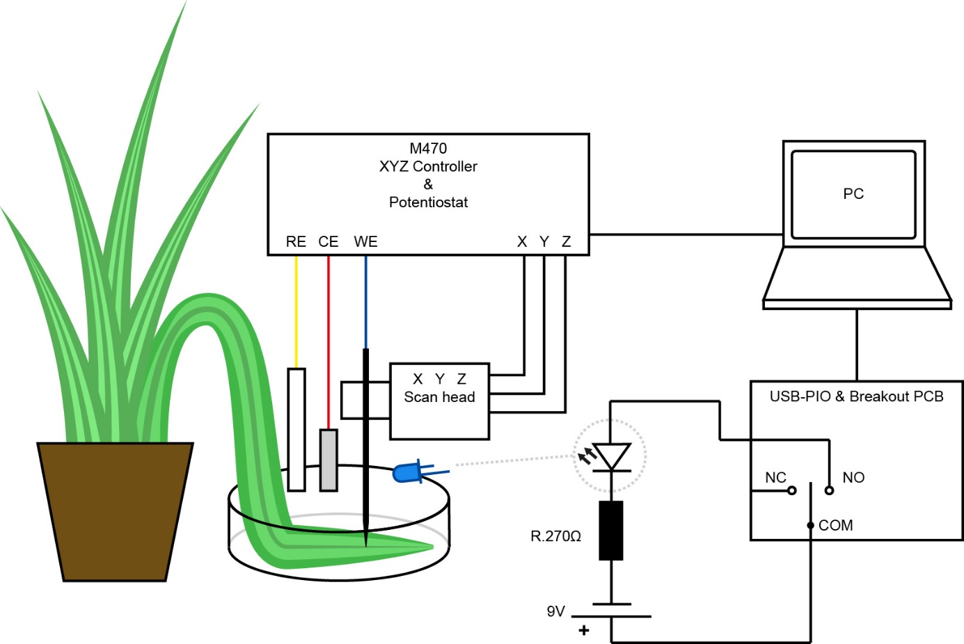 Schematic of the experiments on the spider plant leaf investigating the effect of turning on and off a blue LED using the USB-PIO. 