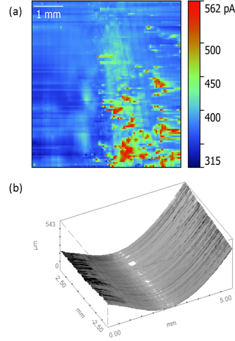 (a) The dc current signal measured for the inside of a metal former. (b) The corresponding topography signal showing the concave nature of the sample.