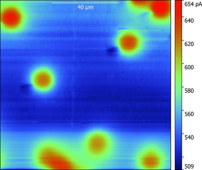 SECM area scan of PC12 membrane over a Au sample. Measurements were performed in 5 x 10-3 mol L-1 K3[Fe(CN6)] in 0.1 mol L-1 KCl with the 1 µm Pt probe biased at 0.65 V, and the Au biased at -0.25 V.