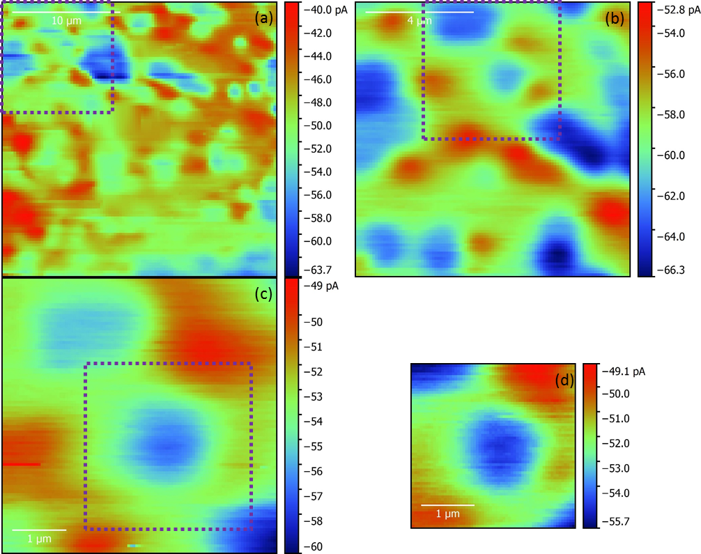 SECM measurements of PC1 membrane over Au sample measured in 5 x 10-3 mol L-1 K3[Fe(CN6)] in 0.1 mol L-1 KCl. The 0.5 µm Pt probe was biased at -0.65 V and the Au at 0.25 V. Measurement areas were (a) 25 x 25 µm2, (b) 10 x 10 µm2, (c) 5 x 5 µm2, and (d) 3 x 3 µm2. Scans were performed in the order (a), (b), (c), (d). The dashed purple box in scans (a) – (c) indicates the area of the next scan. 