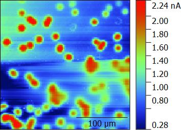 A dc-SECM measurement was performed on a PC12 membrane on a piece of copper tape in 2.5 x 10-3 mol/L K3[Fe(CN)6]/ K4[Fe(CN)6] in 100 x 10-3 mol/L KCl with a 10 μm Pt UME probe.