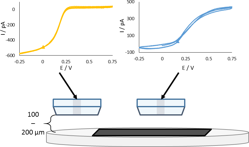 CV of 1 µm UME in bulk performed in bulk over the resin blank (yellow) and over the cathode sample (blue) in 5 x 10-3 mol L-1 K3[Fe(CN)6] in 0.1 mol L-1 KCl aqueous electrolyte. Scans were performed from 0.75 to -0.25 V, using a scan rate of 0.05 V s-1.