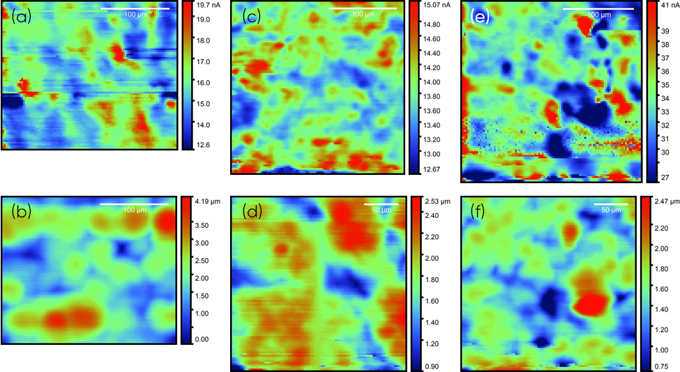 dc current and topography maps measured from ic-SECM of BPP1, (a) and (b), BPP2, (c) and (d), and BPP3, (e) and (f) respectively. ic-SECM measurements were performed in 5 x 10 -3 mol L-1 KI/0.1 mol L -1 KCl, with a 10 μm Pt probe biased at 0.7 V vs. Ag/AgCl