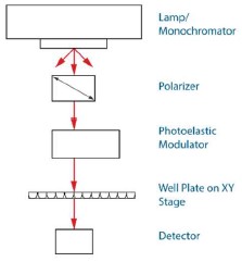 schema 