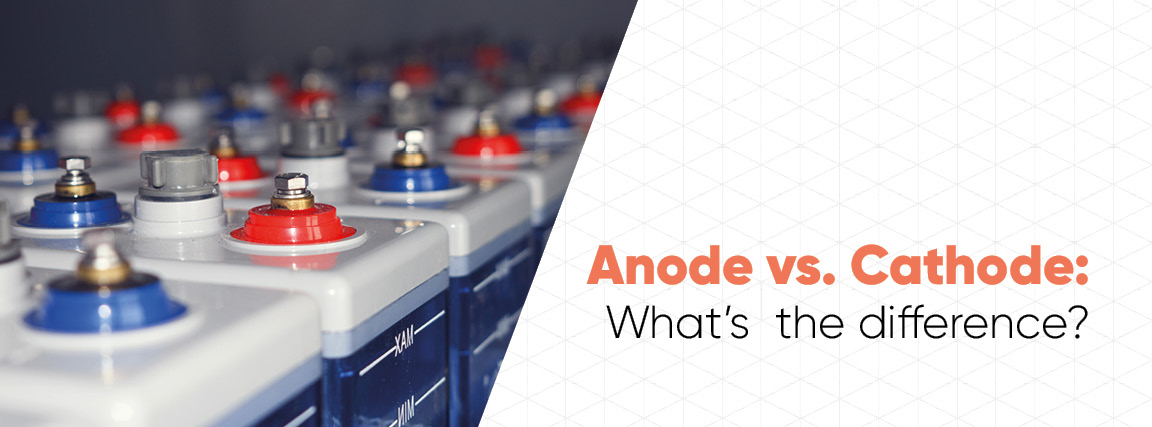 Anode Vs Cathode Whats The Difference Biologic 